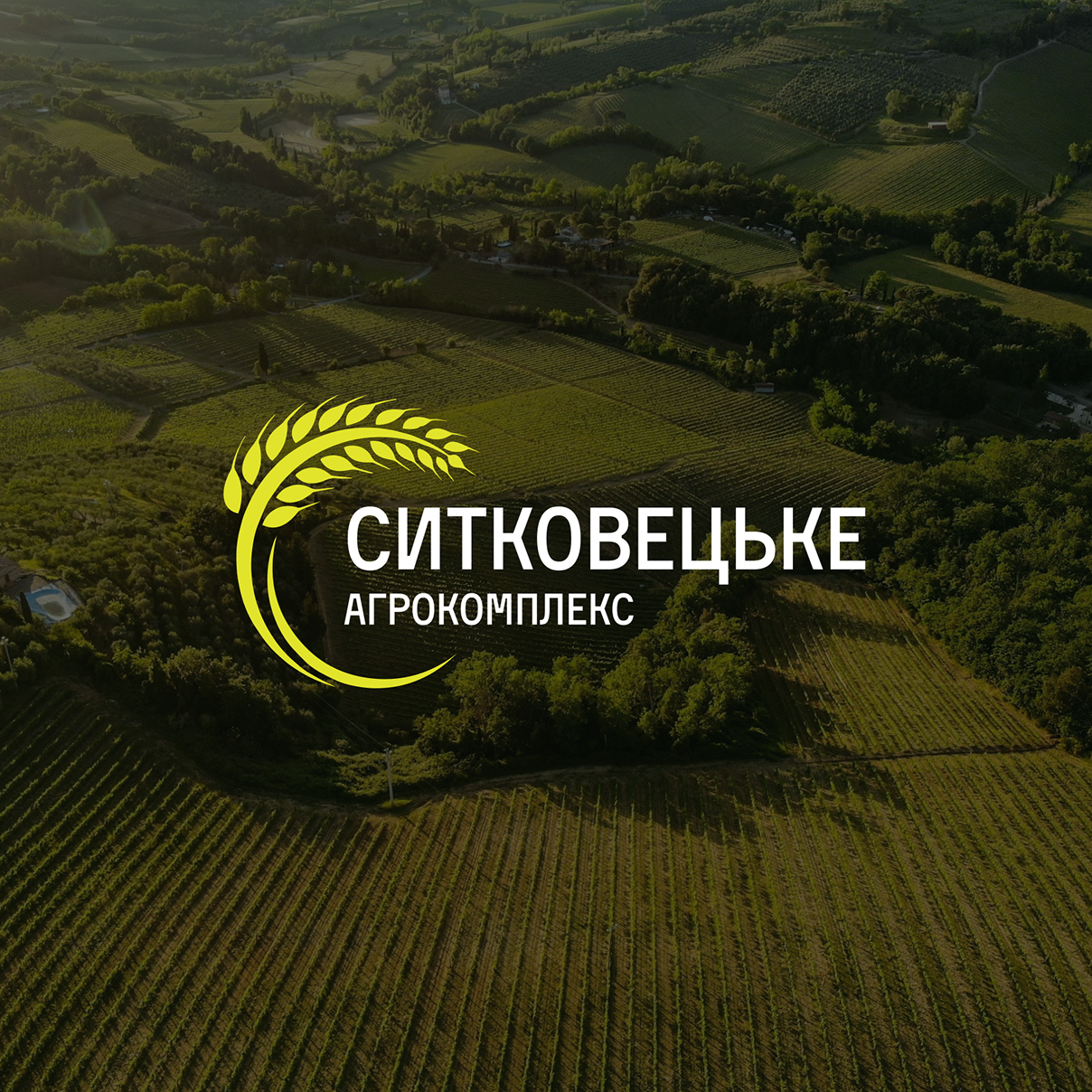 Корпоративний сайт Агрокомплекс “Ситковецьке”