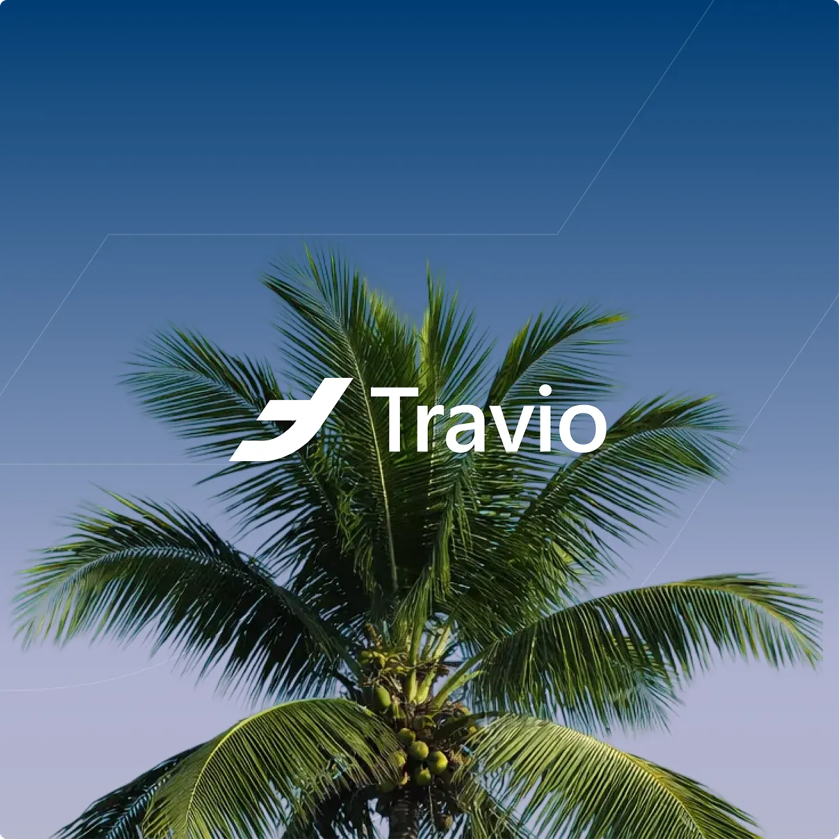 Travio - платформа для бронювання туристичних послуг - превью