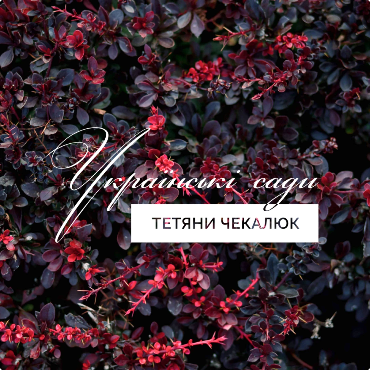 Українські сади Тетяни Чекалюк сайт-візитка - превʼю